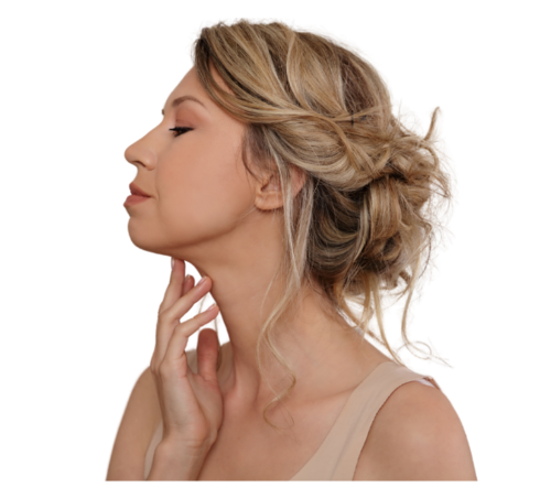 image for Thyroid Function Blood Test