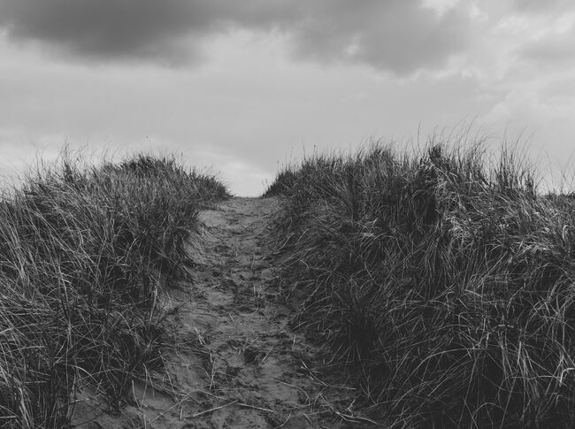 Category Content Test Image