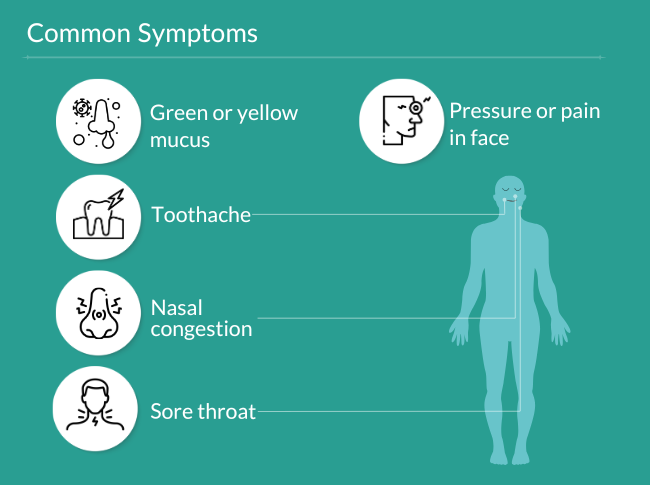 Category Content Test Image