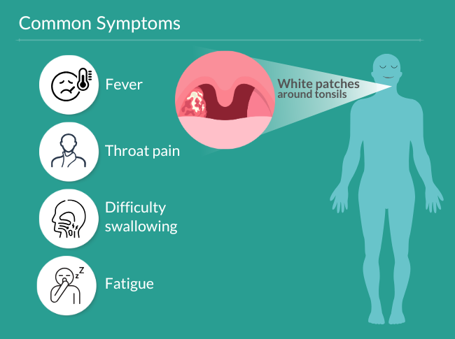 Category Content Test Image