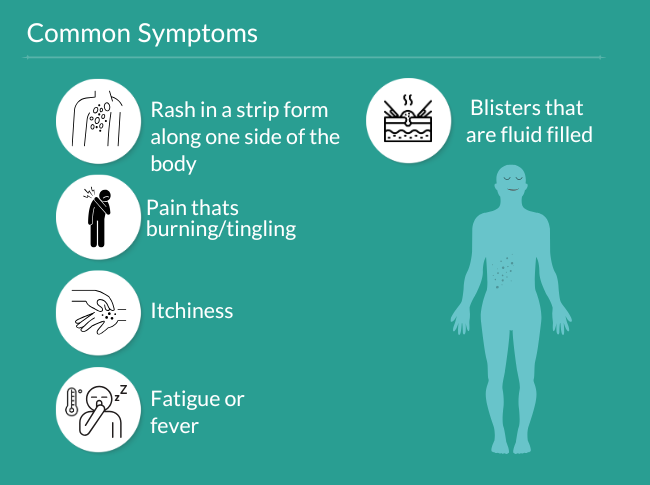 Category Content Test Image