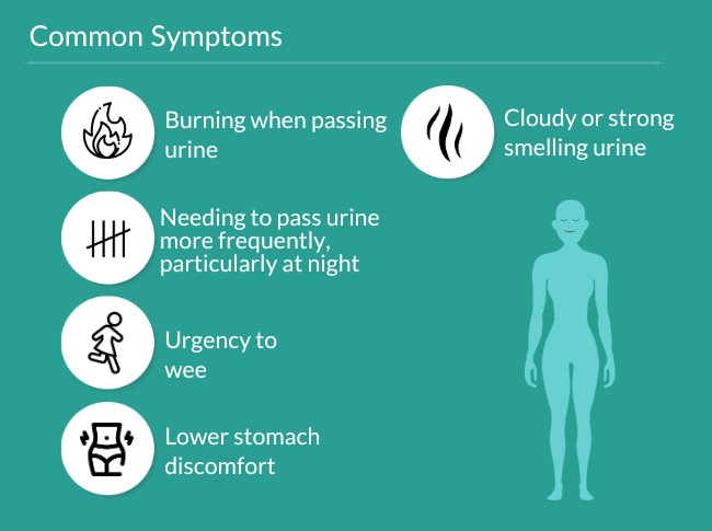 Category Content Test Image